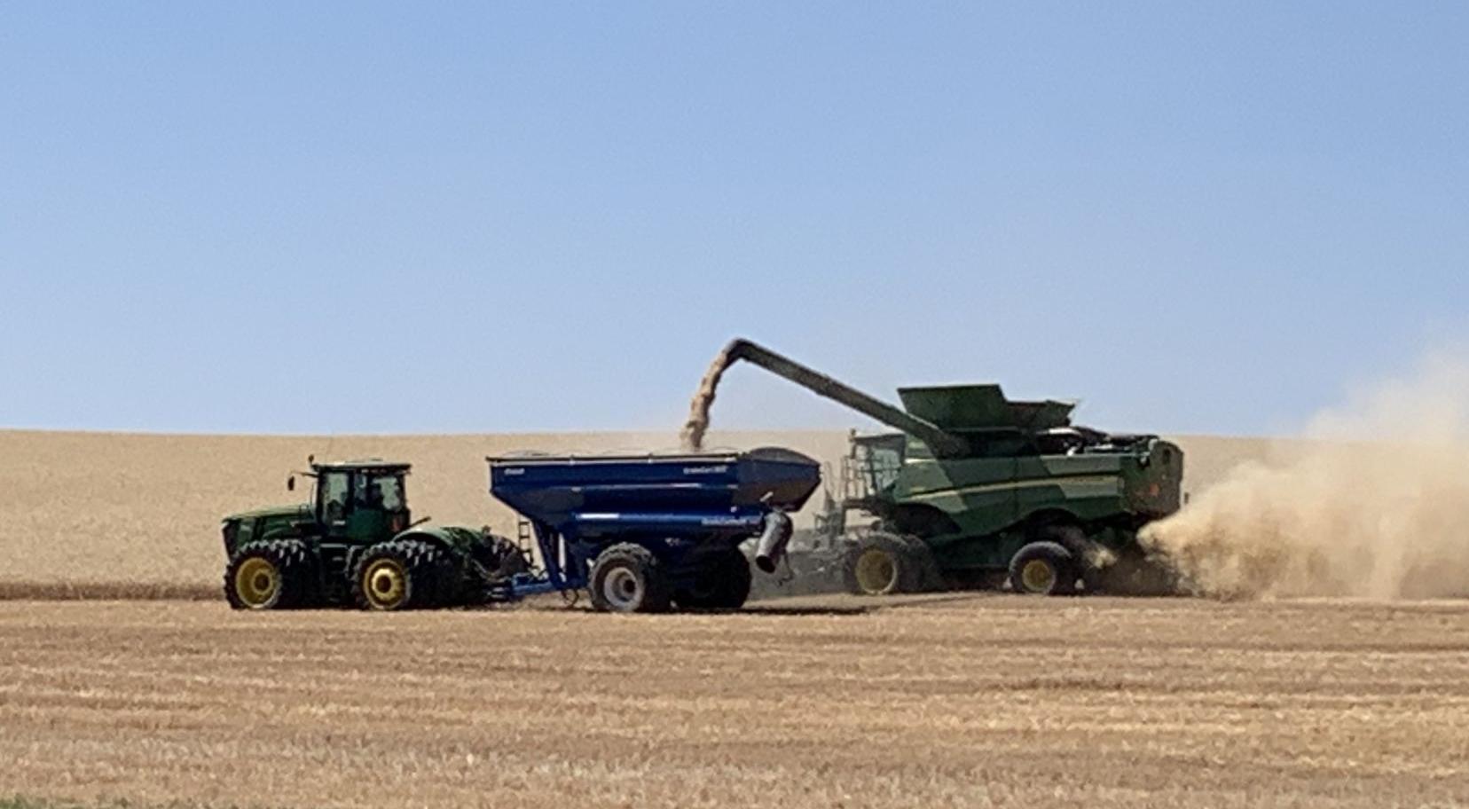 Harvest